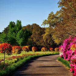 Naturaleza